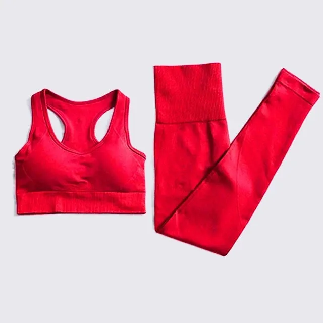 2/3/4PCS Women's Seamless Sports Set