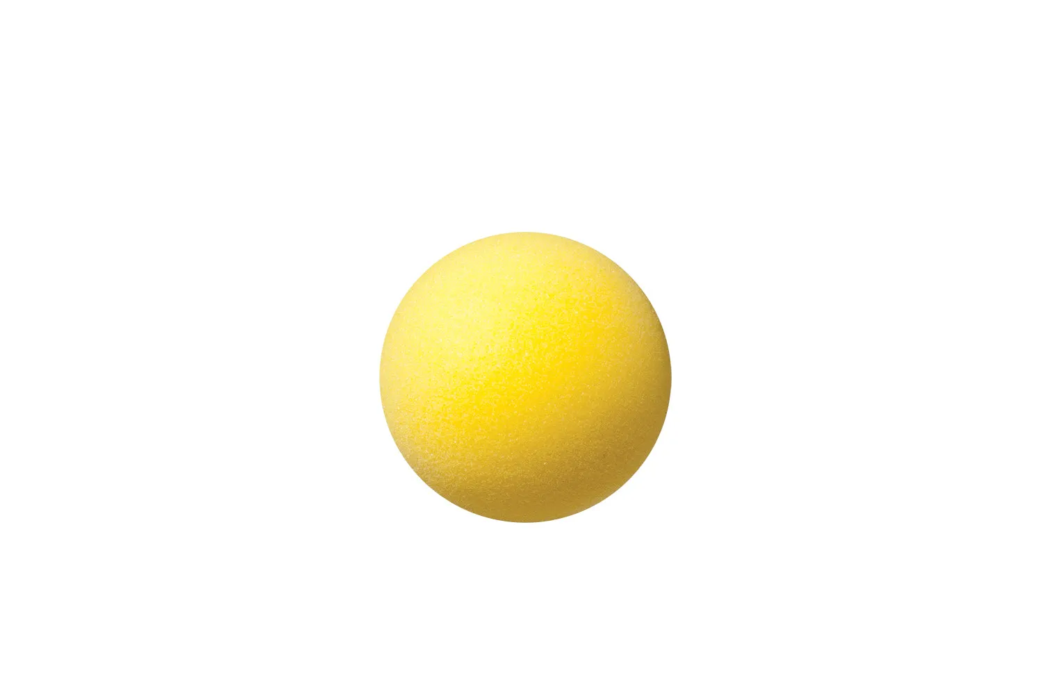 Champion Sports Uncoated Regular Density Foam Balls 3" to 8.5"